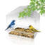 Romana Window Tray Bird Feeder