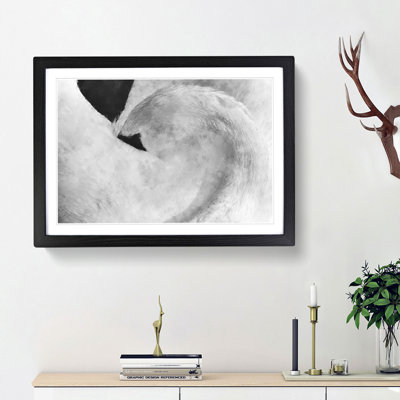 Feathers of a Swan - Picture Frame Graphic Art Print
