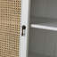 Armoire d'appoint simple à 2 portes