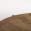 Table basse Molise-1374864322