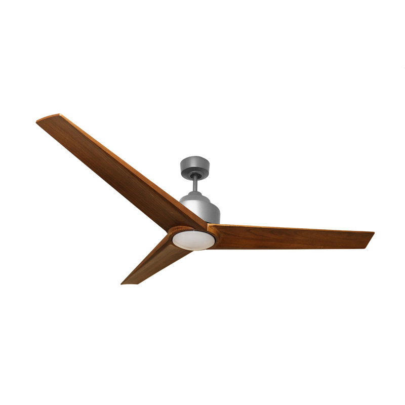 Ventilateur de plafond 56 po avec ensemble d'éclairage Haarika