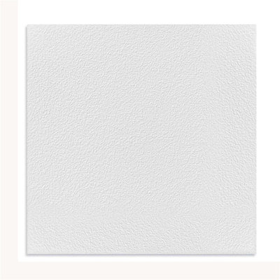 Carreau de plafond 23,74 po x l 23,74 po