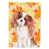 Grey/Brown Cavalier Spaniel selected