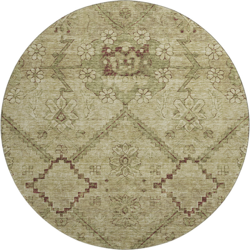 Premium Machine Washable Prisco Brown Rug, Round 8'