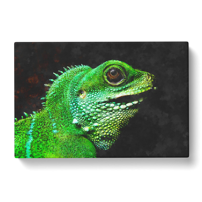 Iguana Lizard - Wrapped Canvas, 35cm H x 50cm W x 3cm D