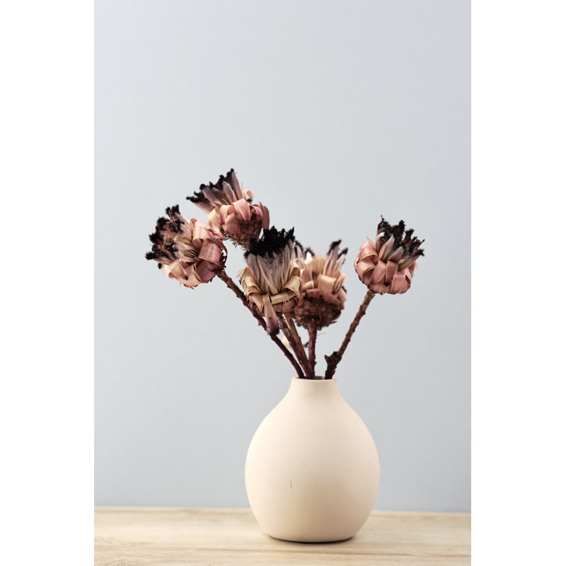 Bourgeons de Protea Nerifolia séchés