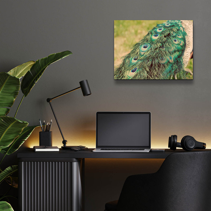 «Peacock Feather Tail 01» par Tom Quartermaine, art mural en verre acrylique, H 12 po x l 16 po x P 0,13 po