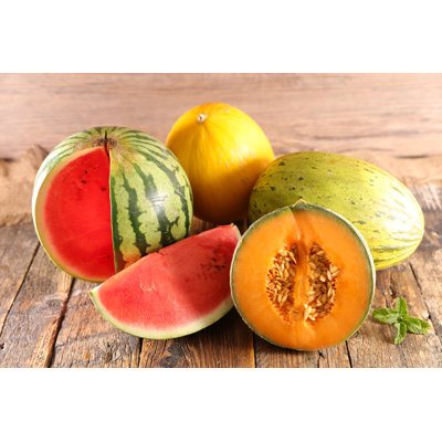 Melons by Margouillatphotos - Wrapped Canvas Print