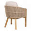 Chaise de salle à manger d'extérieur avec accoudoirs (ensemble de 2)