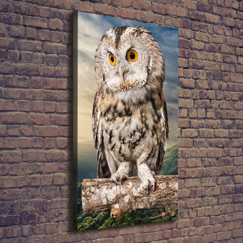 Owl On The Hill - Wrapped Canvas Print