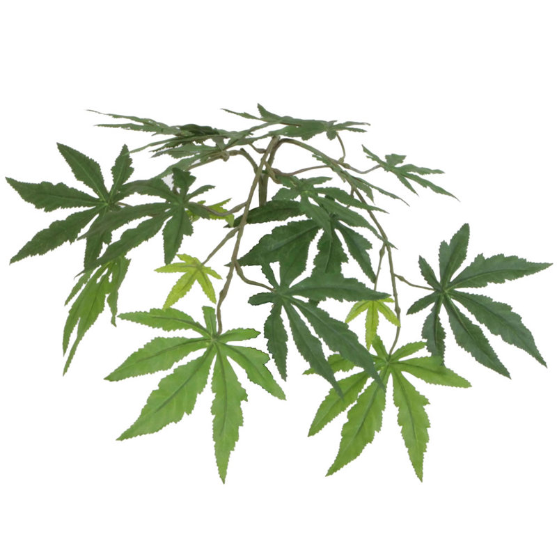 Érable japonais en pot de style panier Zaria