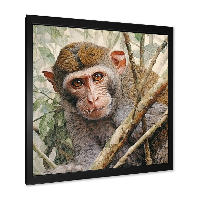Wild Monkey IV sur toile, H 24 po x l 24 po x P 1 po, Cadre simple noir