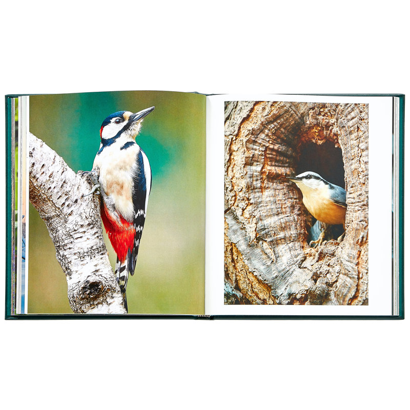 The Hidden Life Of Trees Leather Bound Book