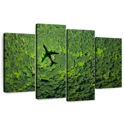 Mehar avion au-dessus de la forêt