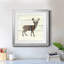 Woodland Deer - Cadre photo, reproduction d'art sur papier-1406809919-1406809917