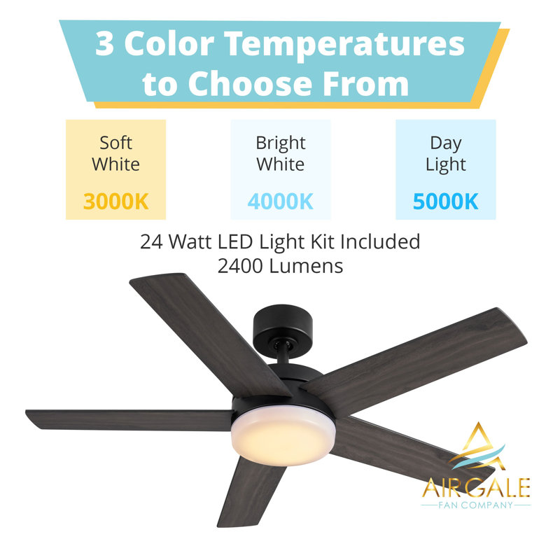 Weeden 44 in. 5 Blade Matte Black Ceiling Fan with Remote Control, Dimmable LED Light Kit, and Reversible Motor, 44" Wide