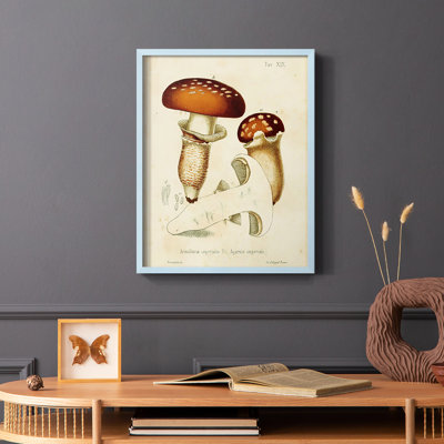 Reproduction encadrée champignon Variétés III - bois massif