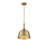 Saxon 1-Light Dimmable Dome Pendant-1953057659