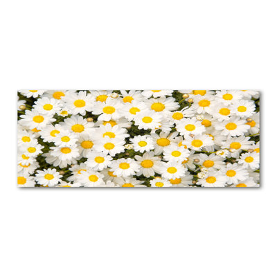 Daisies - No Frame Print on Canvas