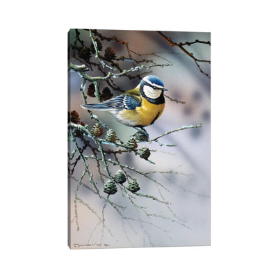 Bird In A Fir Tree by Jan Weenink - Wrapped Canvas Panoramic Print