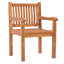 Catriona Outdoor Teak Dining Armchair