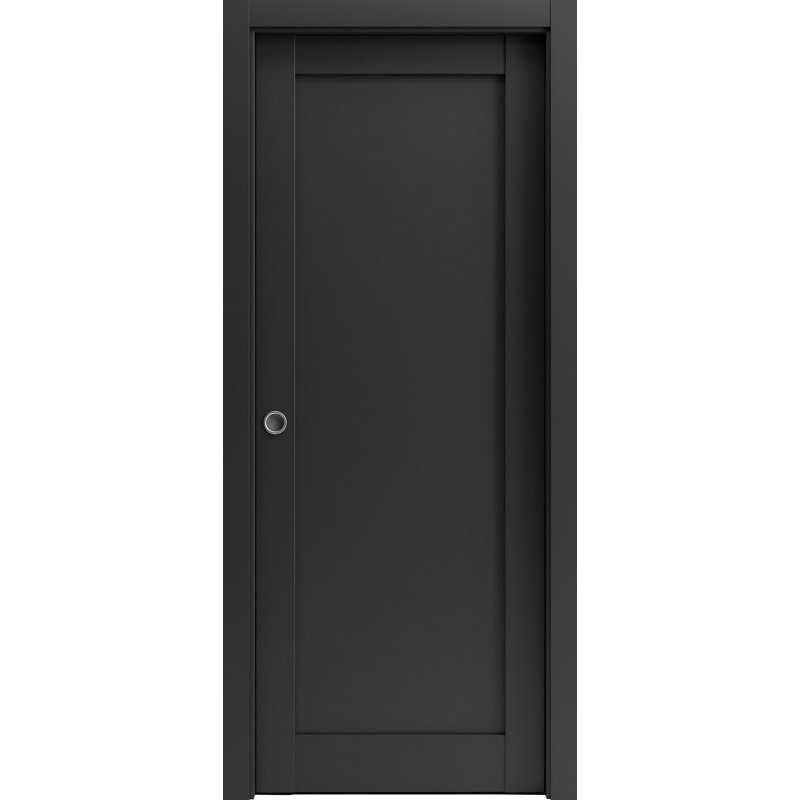 Porte noire à panneaux Quardo, 32 po x 96 po