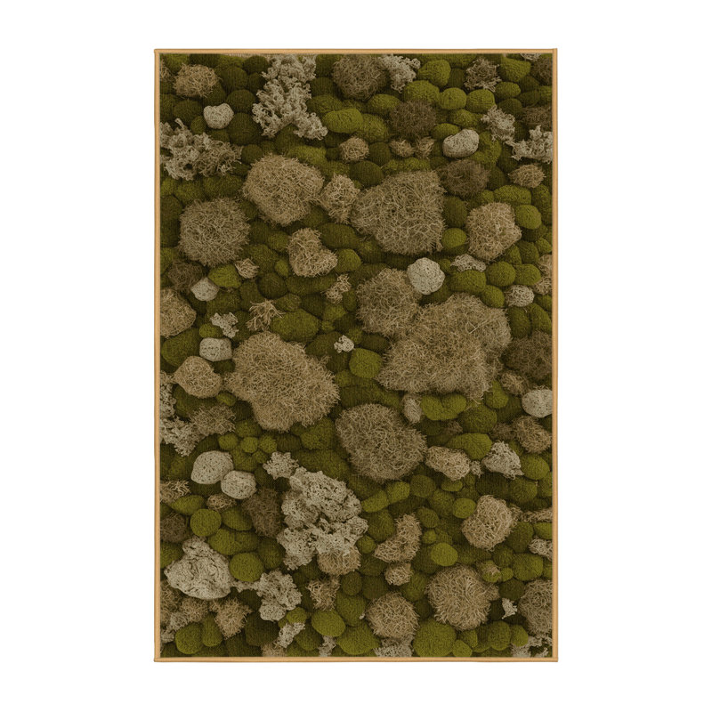Tapis botanique brun lavable à la machine, Rectangle 6 pi x 9 pi