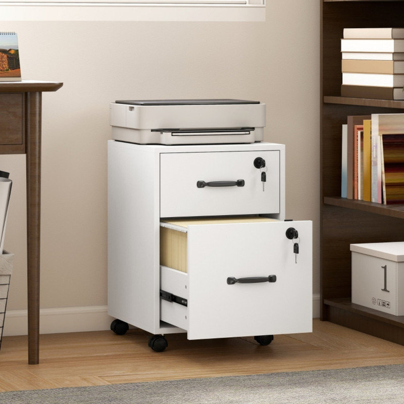 Cabinet Office Storage Cabinet