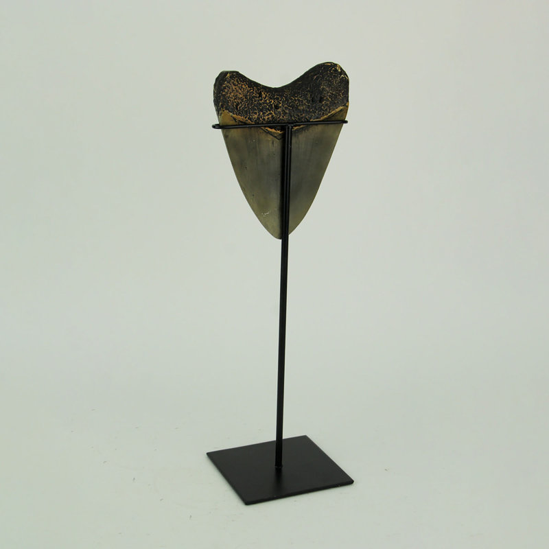 Sculpture Camberwell Megalodon Shark
