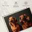 Couple de teckels Brampt-107860627