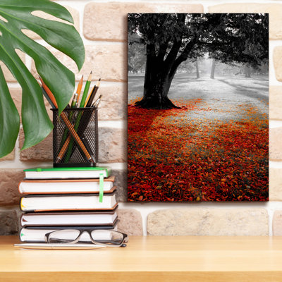 «Autumn Contrast» par PhotoINC Studio