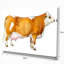 Vache laitière brune-reproduction d’art-29496829-35111741