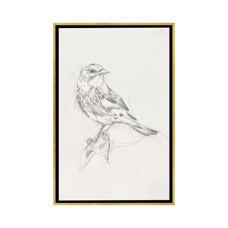 «Avian Study I» par Ethan Harper - reproduction d'art, H 40 po x l 26 po x P 1,5 po, Toile encadrée d'or, Pas de tapis