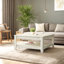 Weddel Basilico Coffee Table with Storage-2057449332