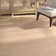 Huntingtown Viscose Abstract Indoor Rug