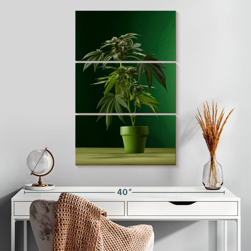 Plante de marihuana en pot Harnek, H 32 po x l 20 po