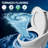 19" Elongated Bowl ADA Height Toilet One Piece Skirted Toilet for Seniors, Dual Flush 1.0/1.28 GPF, MAP 1000g