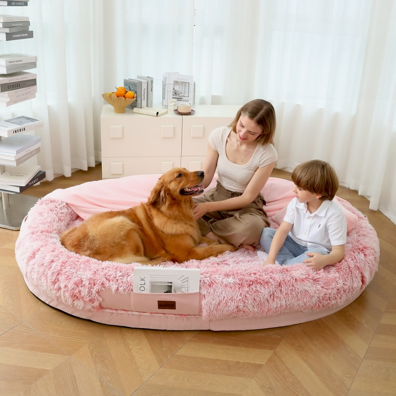  Canapé-lit ovale en mousse viscoélastique 71 po avec support orthopédique de taille humaine avec housse amovible et pochettes de rangement