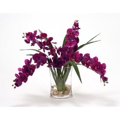 Polysilk Orchid Arrangement in Vase