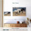 Black And White Horses-106322140