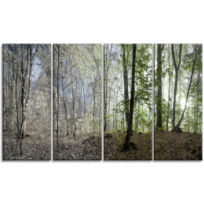 Green Morning Forest Landscape Canvas Print in Four Panels