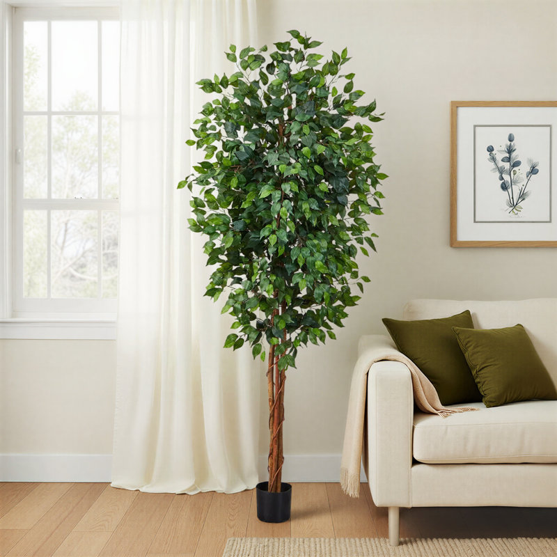Faux Ficus Tree in Planter, 84" H x 36" W x 36" D