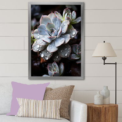 Bleu succulent explosion