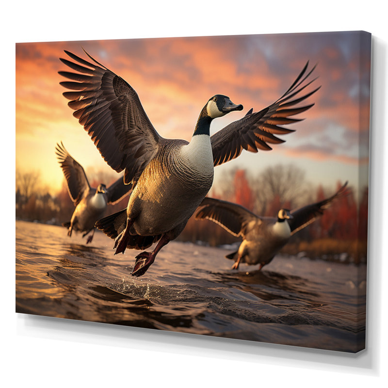 Canada Bernaches du Canada II - reproduction sur toile, Toile tendue, H 24 po x l 32 po x P 1 po