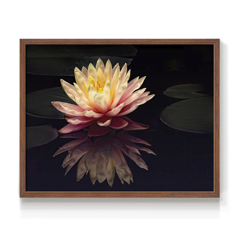 Photographie, étude, nénuphar, reproduction encadrée, H 22 po x l 28 po, Noyer