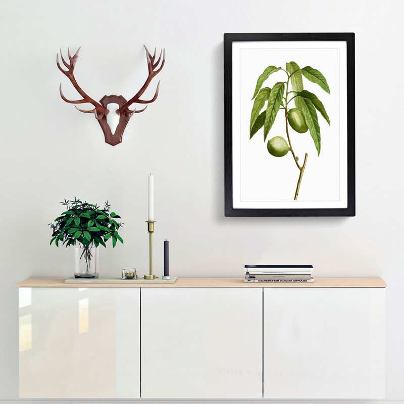Almond Tree Branch by Pierre-Joseph Redoute - Framed Print, 33cm H x 24cm W x 2cm D, Black Framed