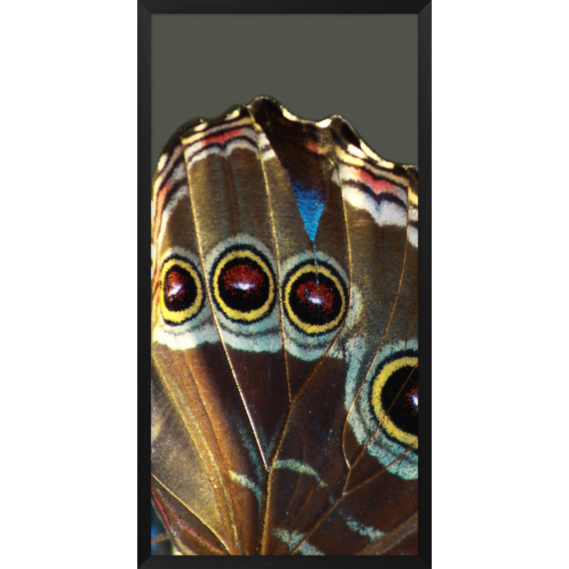 Wings 1 ', reproduction d'impression sur verre encadrée