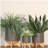 8" Planter W/ Wood Stand, Matte Gray-1513874859