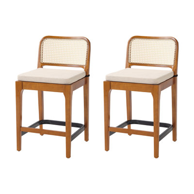 Jaime Coastal Counter Height Counter Stool with Rattan-Look Backrest (Set of 2)