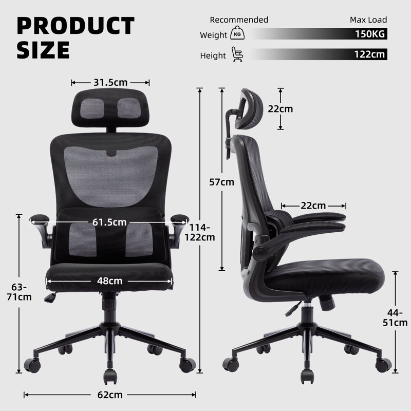 Tunney Ergonomic Height-Adjustable Mesh Office Chair with Headrest, Black
